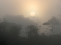 Peru Amazon